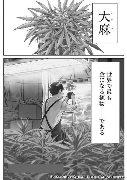 『東京カンナビス特区 大麻王と呼ばれた男』2/5

1ポスト目のURLから続きを読む! 