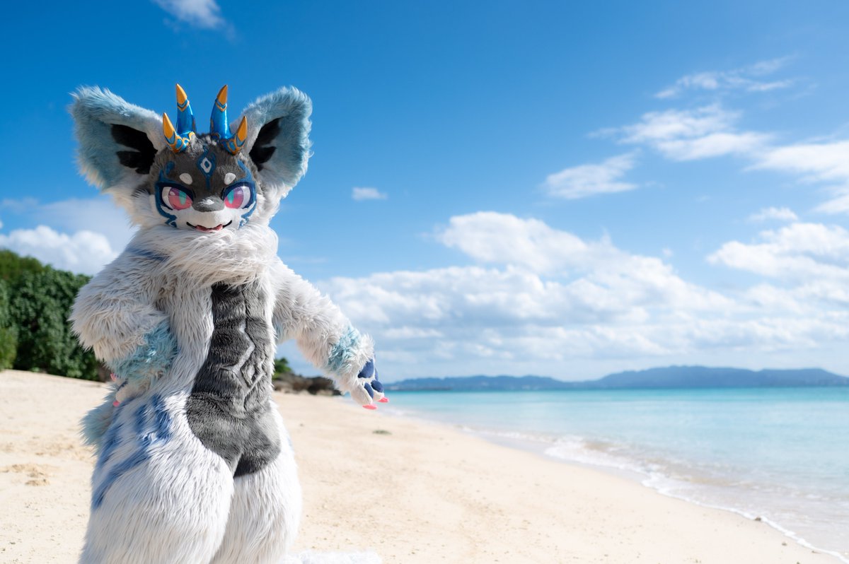 🌊☀️
#FursuitFiyday
📸<a href="/_mofmoon_/">mofmoon🐈🐾</a>
