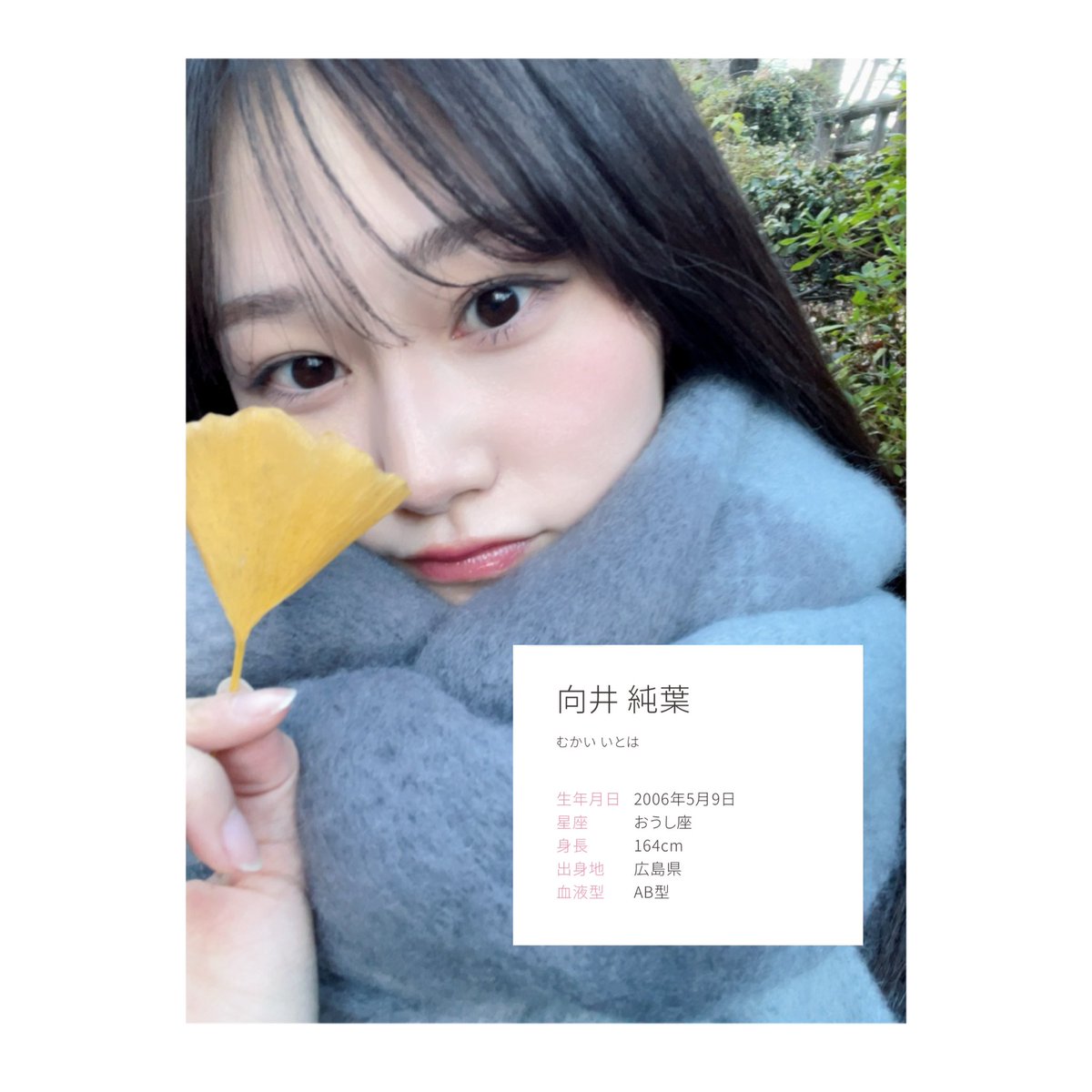 ぽぽこ tweet media