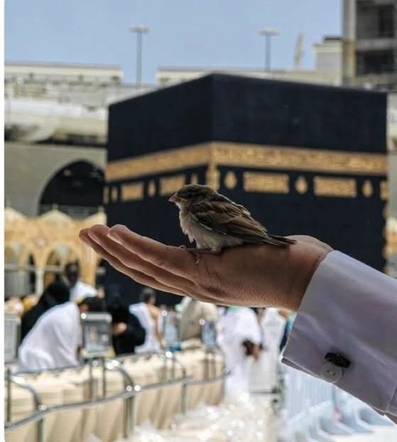 Sanma Ki Hakkın Kalır Adem’de, Kağıtta Şahittir Yazan Kalemde, Bırak Ertelensin Tüm Duruşmalar; Şaşmaz Adalet, İlahi Alemde.
#hayırlıcumalar