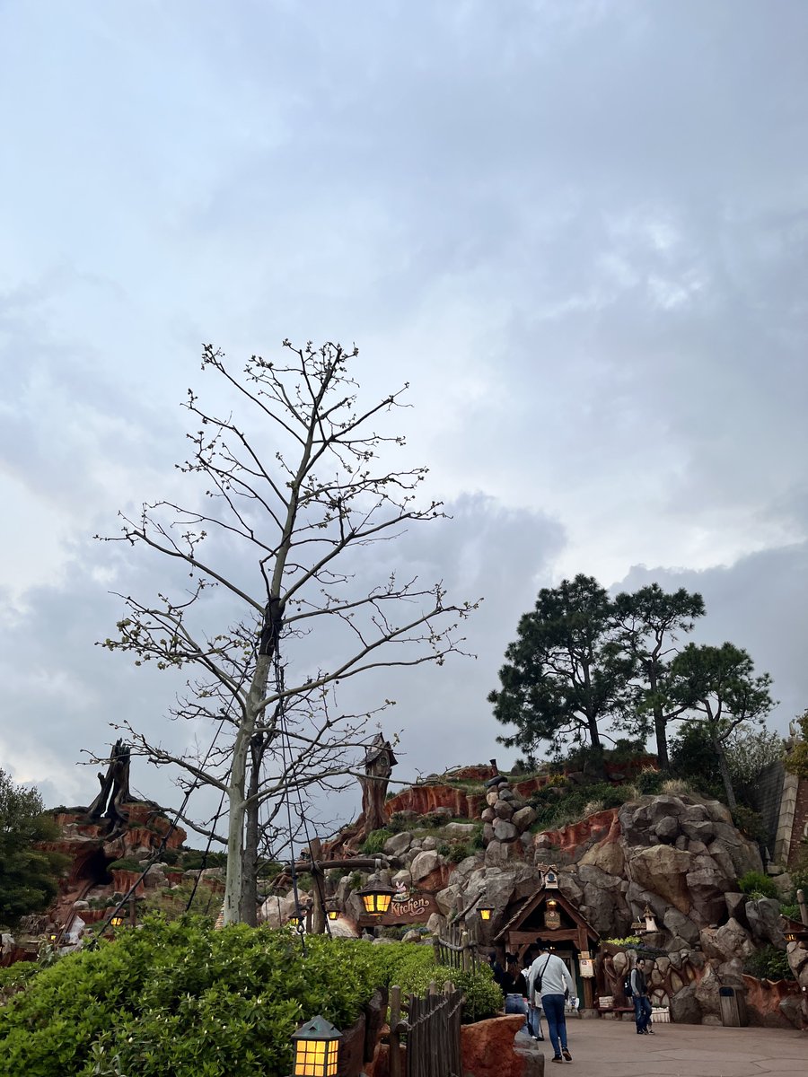 天候悪ッターカントリー