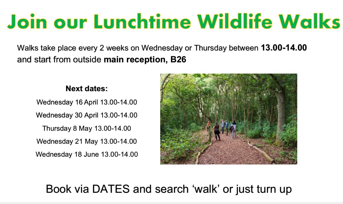 Explore the natural beauty of campus with our wildlife walk series. See spring/summer dates added below
Please book via DATES or just turn up.