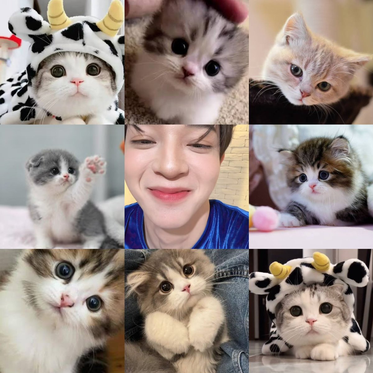 sxar_ao's tweet photo. สถานการณ์ตอนนี้คือ555555555555555666655555555555555

 #SpecialJohanNorthQ3 https://t.co/HTbiG3Shqg