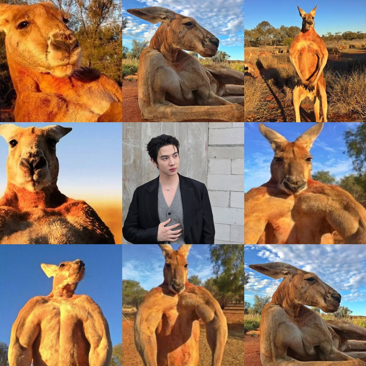สถานการณ์ตอนนี้คือ555555555555555666655555555555555

 #SpecialJohanNorthQ3