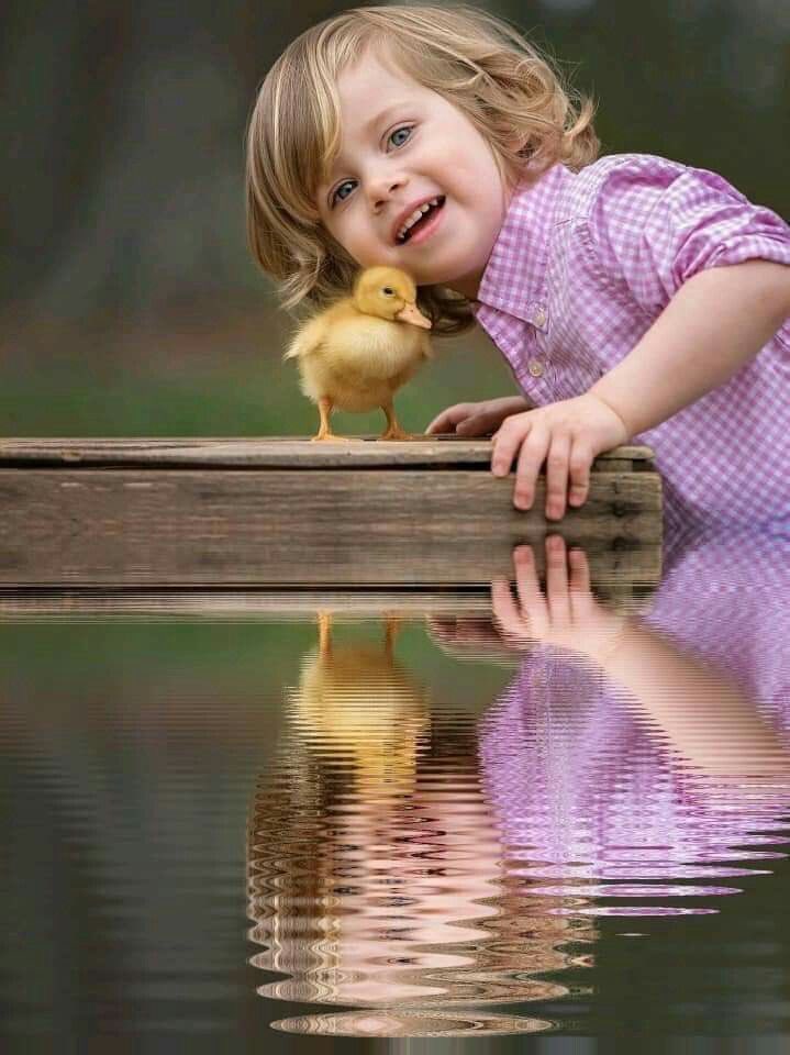 سهيل اليماني tweet media