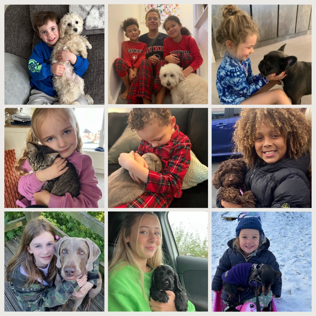 PHA Models tweet media