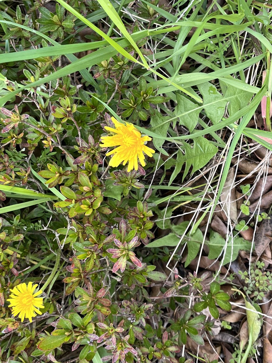 #丸亀市議会議員選挙　
４月１３日告示４月２０日投票
税金は市民の暮らしや福祉を守ることを優先して使うべきではありませんか？
選挙は市民が市政に何を求めるのかを示すためにあります。
選挙に行きましょう🙋🙋‍♂️
