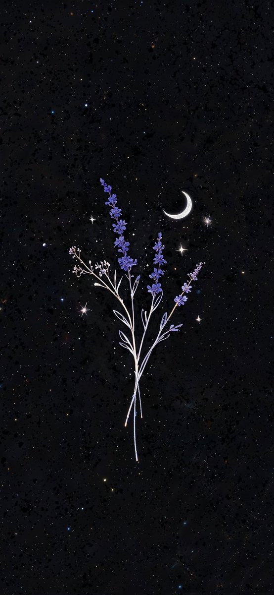 BambooTuk's tweet image. แจกฟรีวอลเปเปอร์มือถือ 
#Freewallpeper
#Backgroundimage 
#Theme 
#wallpaper