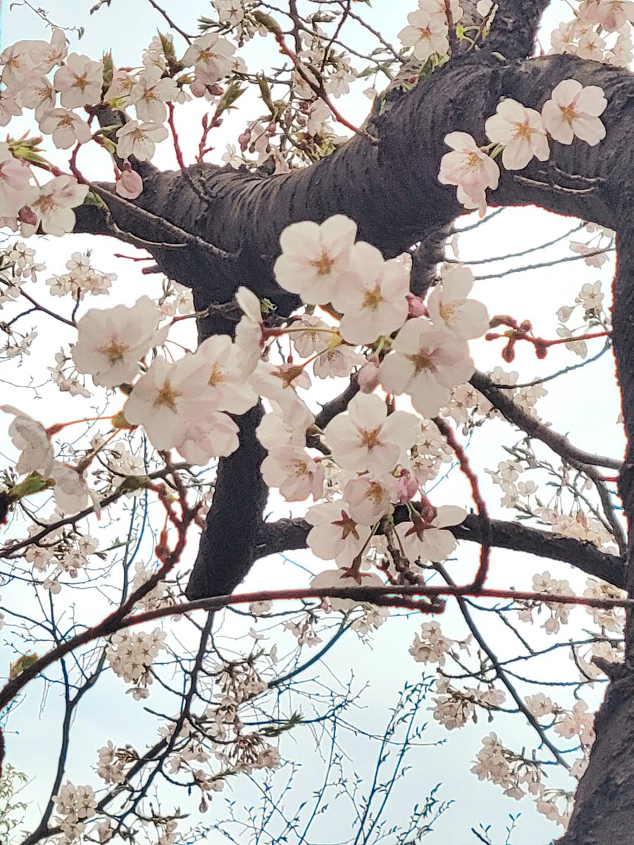 blame_oneself__'s tweet image.