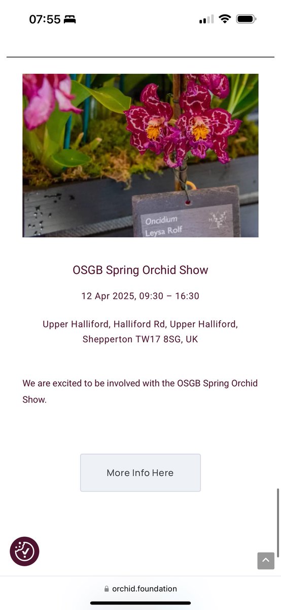 Busy preparing for OSGB Spring Show tomorrow! Do come and visit us - will be bringing orchids for sale 🌿

#orchids #orquídeas #nature #conservation