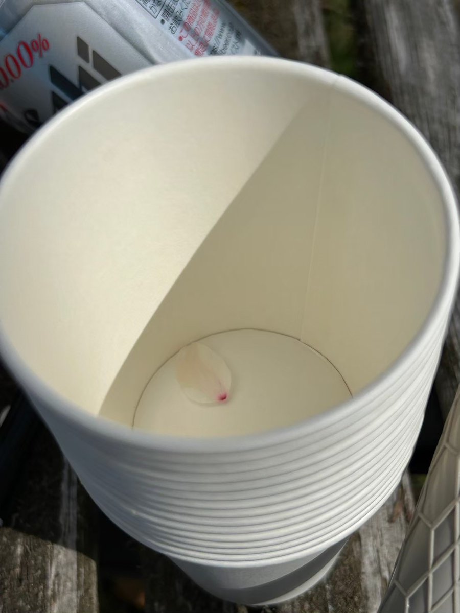 お知らせです📢
明日、4/12(土)に学内の桜堤でお花見を行います❕
きてくれる新入生のみなさんは、12:30に食堂に集合してください！
(先輩が案内します💁‍♀️)

だいたい2時間程度を予定しています。たくさんのドリンク・お菓子、ボードゲームなどと共に、楽しくお話ししませんか！🗣️🌸
お待ちしています。