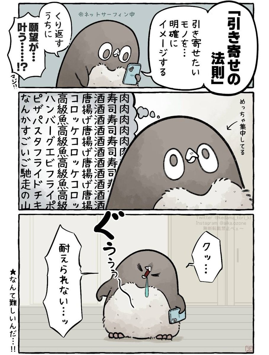 ぜんぶ引き寄せたい
#虚無かわいいアデリーペンギン 