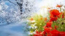 En invierno todo parecía muerte, ¡Es primavera y renace la vida! Acompañamos al Señor en ese paso de la muerte a la VIDA. ¡En comunión vivamos con El y con toda la humanidad!