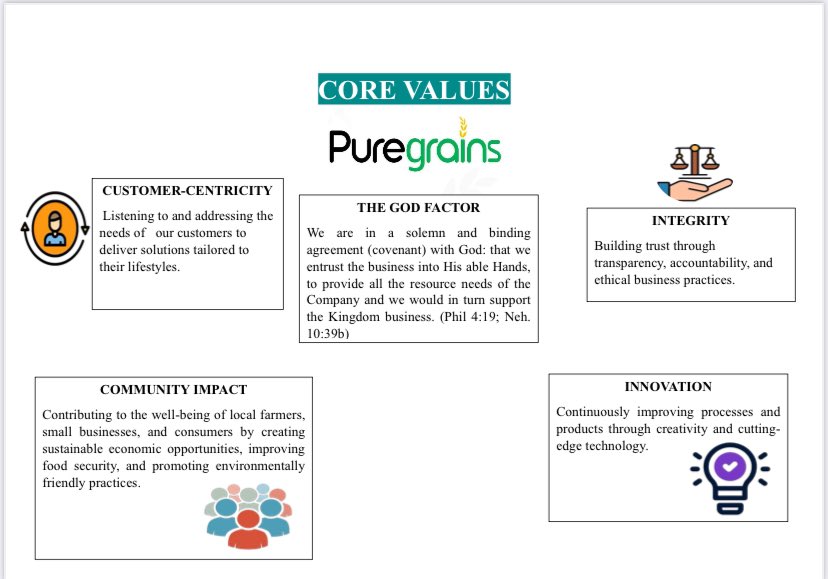 📍OUR INTERNAL CORE VALUES 

At Puregrains, we value innovation, integrity, customer satisfaction and giving back to our community.