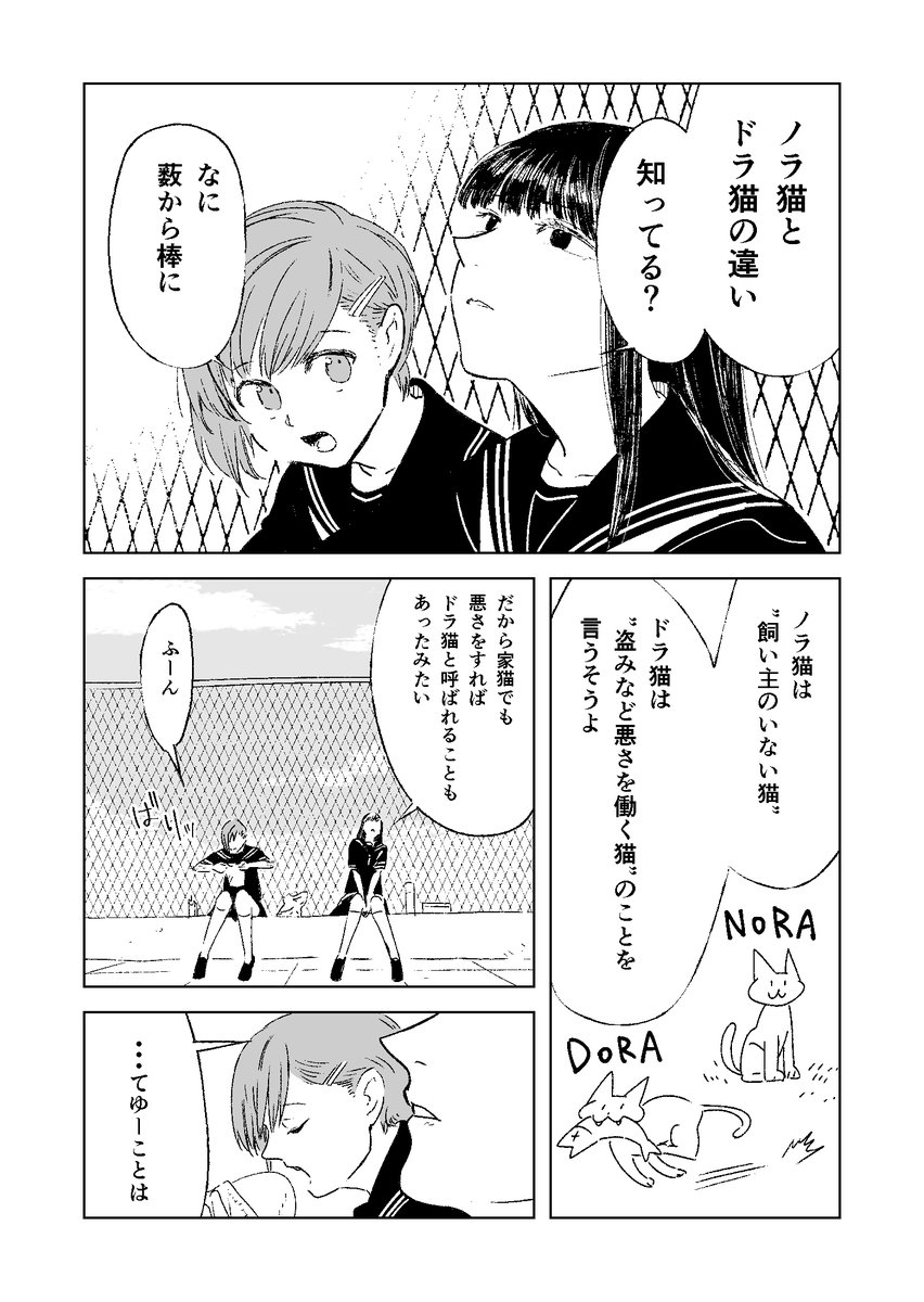 ノラ猫とドラ猫の違い 