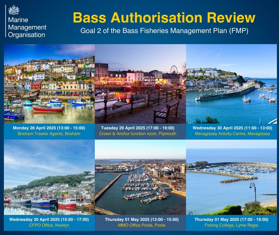 SouthernIFCA's tweet image. The @The_MMO are holding meetings to gather industry views on Goal 2 of the Bass FMP - to review the bass authorisation system.
To get the pre-meeting information or if have any questions, please contact anna.maclennan@marinemanagement.org.uk