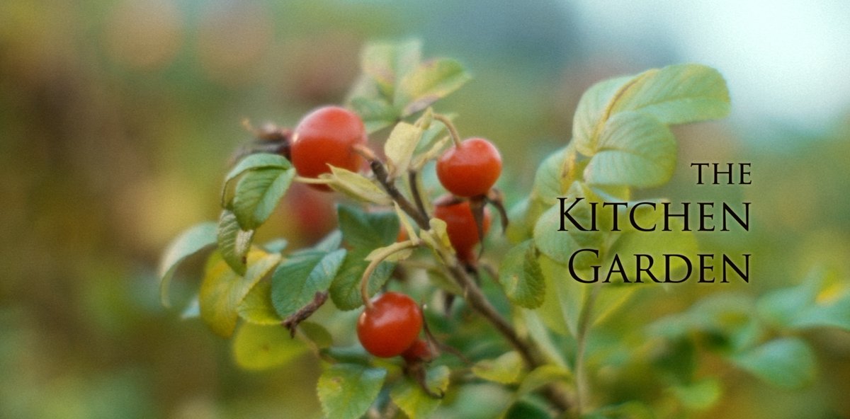 Tiggy Walker (@tiggywalker) on Twitter photo Amazing news. My short film 'The Kitchen Garden' was just selected by New York Film and Cinematography Awards via FilmFreeway.com. I won Best New Director for Shorts and Features. So thrilled. Think <a href="/piratejw/">Johnnie Walker</a> is pulling some strings up there! Amazing news. My short film 'The Kitchen Garden' was just selected by New York Film and Cinematography Awards via FilmFreeway.com. I won Best New Director for Shorts and Features. So thrilled. Think <a href="/piratejw/">Johnnie Walker</a> is pulling some strings up there!