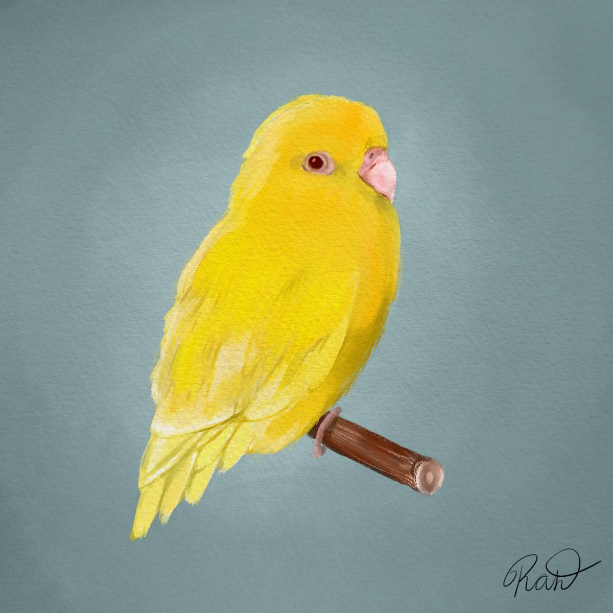 bluebirbmom's tweet photo. Rest in peace, Stella. We only knew you for a year but what a great year it was. https://t.co/1vXbqNoNqN