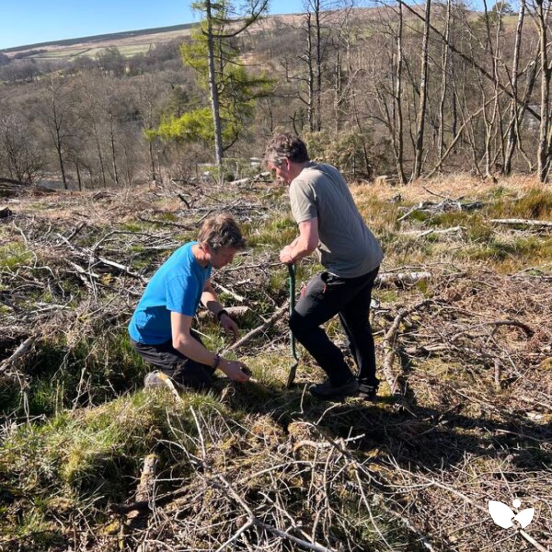 TarrasValleyNR's tweet photo. We've had a great week hosting 80+ Masters students from Exeter (Biology/Conservation) &amp; Bangor (Forestry) on their annual Scottish field trip! Exeter helped plant 1000+ trees 🌱 &amp; a Bangor student from Mauritius saw her first ancient oaks in Longwood 🌳 See you next year! https://t.co/vWVvOPF6i1