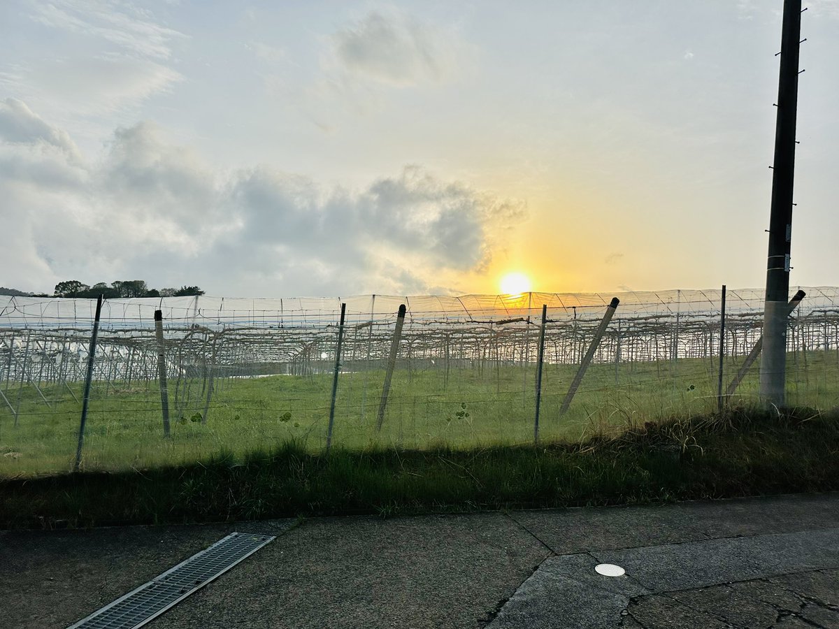 tanabe_duvin's tweet photo. 大分県にあるワイナリー「安心院葡萄酒工房」へ。まさに素晴らしい環境。今や日本を代表するスパークリングワインの一つと言える「安心院スパークリング」、個人的にお気に入りの「安心院アルバリーニョ」をはじめ様々な品種を試飲。工房長の古屋さんから非常に多くのことを学ばせていただきました。 https://t.co/o4uQjDFeuN