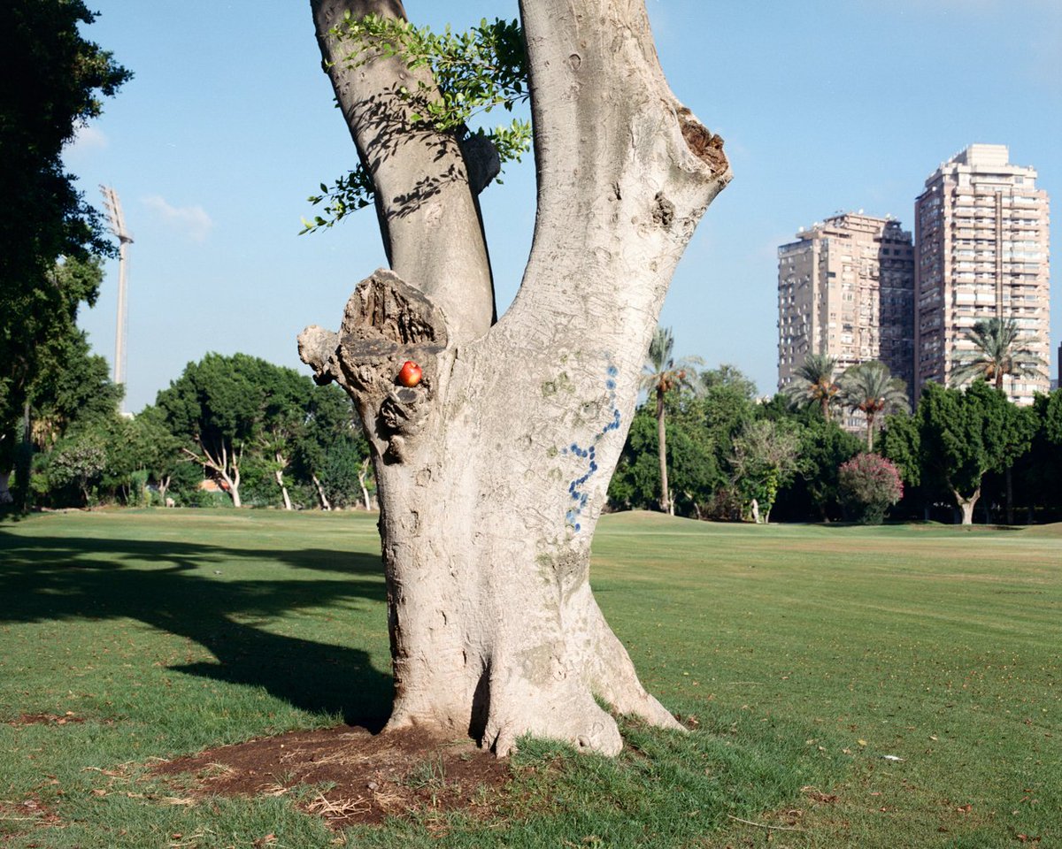 PhMuseum tweet media