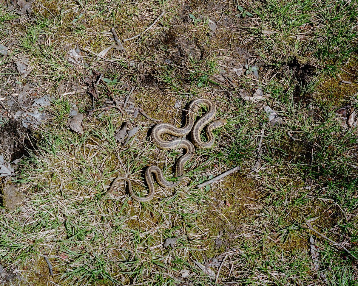 PhMuseum tweet media