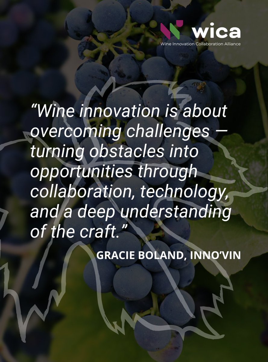 ByWica's tweet photo. Another quote from one of our founders! 💭 This time, we share the perspective of INNO'VIN regarding the opportunities brought by challenges, and how importat collaboration truly is for devolpment and innovation.💡

More info on our website https://t.co/DcNWrmA4y2.
@Clusters_EU https://t.co/JDec1NSPvp