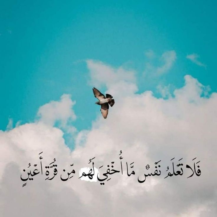 مُطمئِنةَ.! tweet media