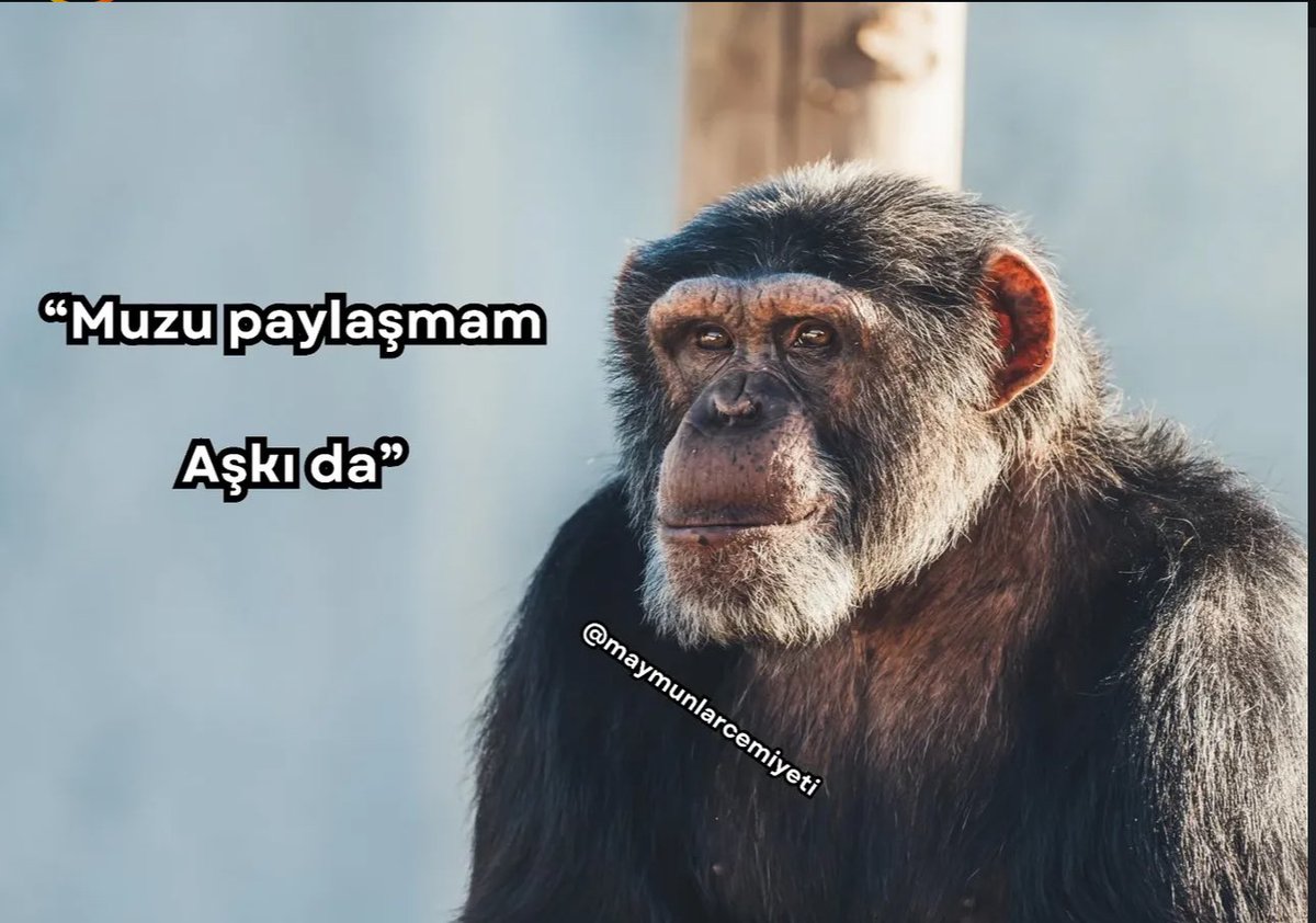 AkllBaran's tweet photo. https://t.co/K7TUyNlV8u