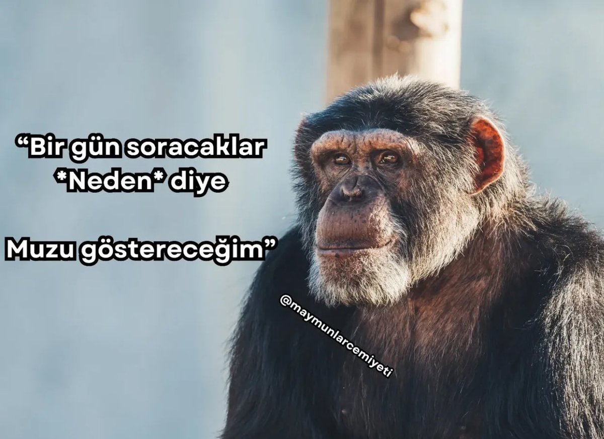 AkllBaran's tweet photo. https://t.co/K7TUyNlV8u