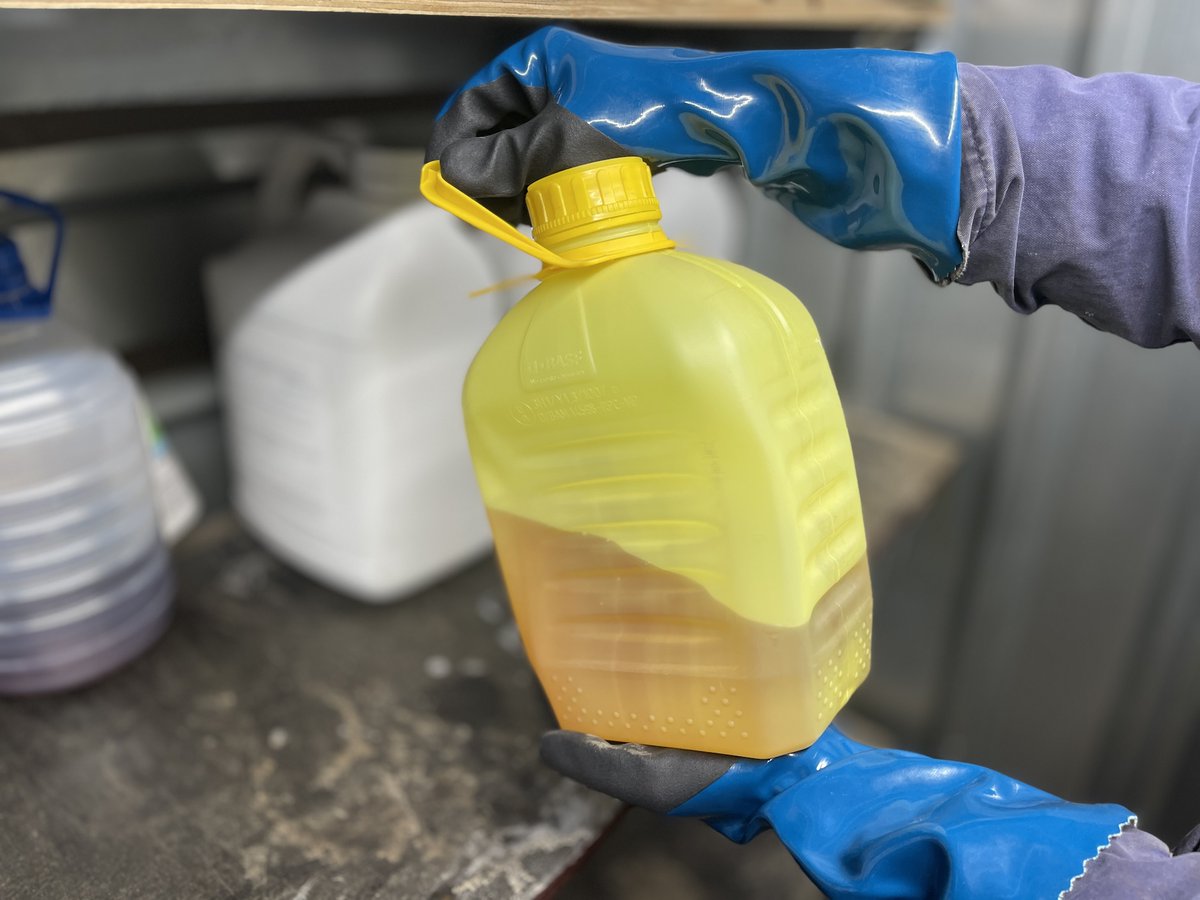 Telers en loonwerkers kunnen binnenkort kosteloos resten van gewasbeschermingsmiddelen inleveren, tot een hoeveelheid van 50 kilogram of liter per deelnemer. Dit initiatief draagt bij aan een veilige, verantwoorde en duurzame land- en tuinbouw. Bayer ondersteunt de inzameling!