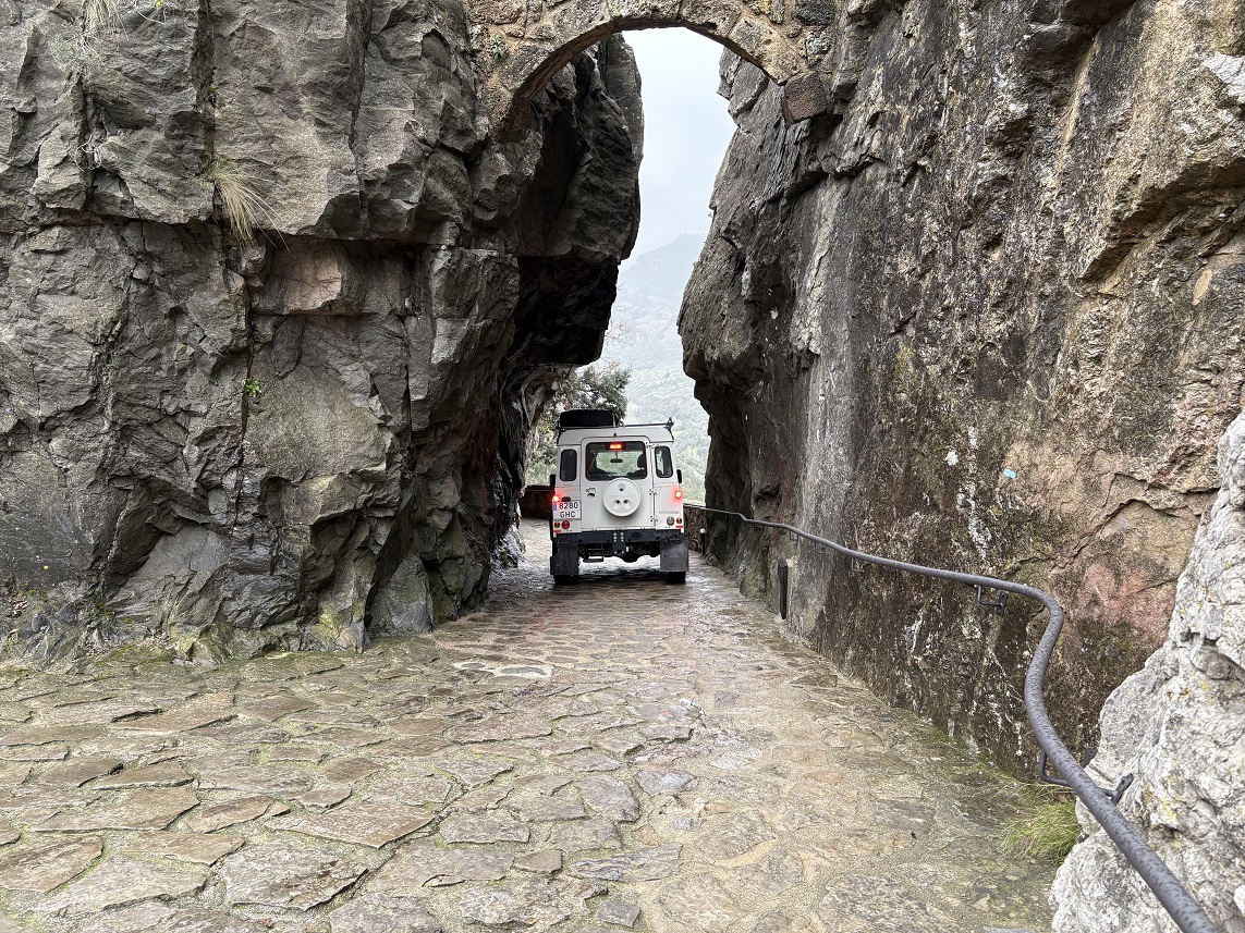❗️El motiu és que des de l’aparcament general a la porta d’entrada hi ha un tram que dificulta l’accés autònom al recinte, per la pavimentació original del pont del Rossinyol i un fort pendent del recorregut