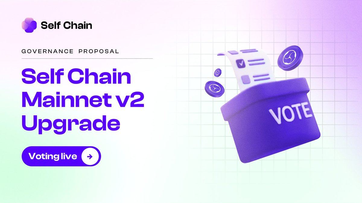 Self Chain tweet media
