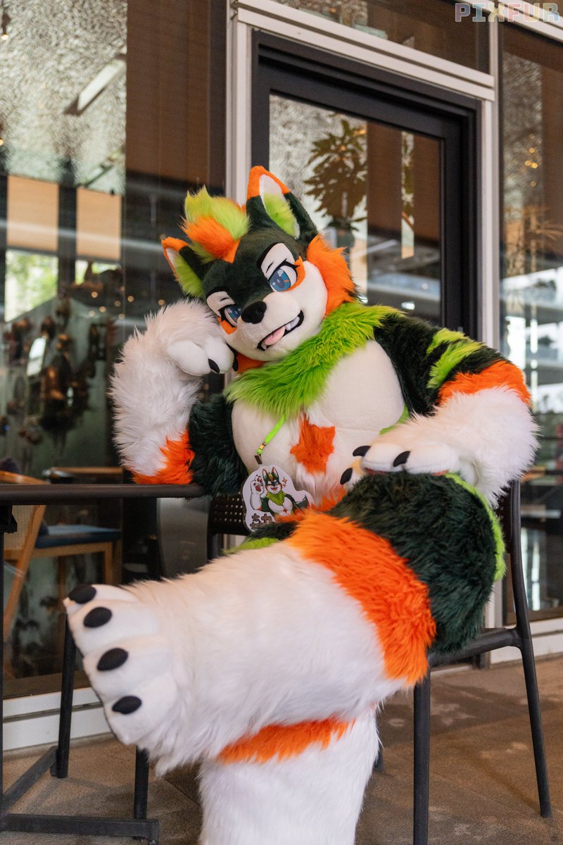 來舔我的腳
📷<a href="/Take82168451/">Hoshita Kesora 竹子 🐾UTFG</a>
#FursuitFriday