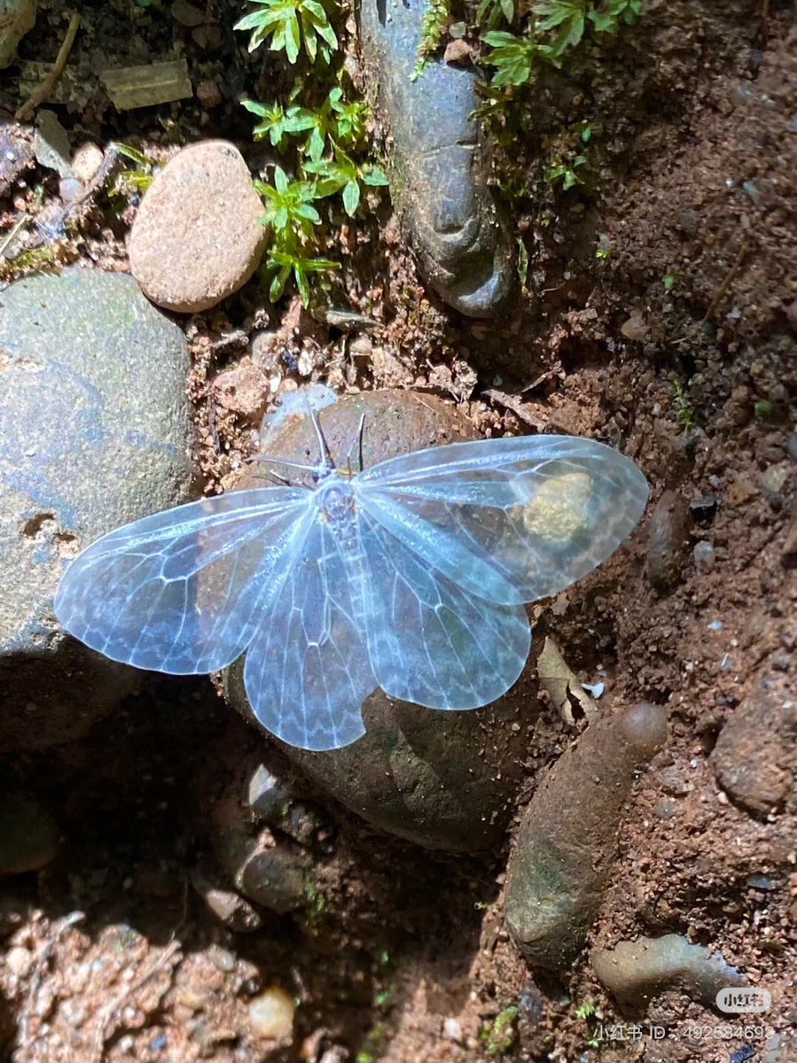 Yaratma sanatına hayranım allahım 🤍