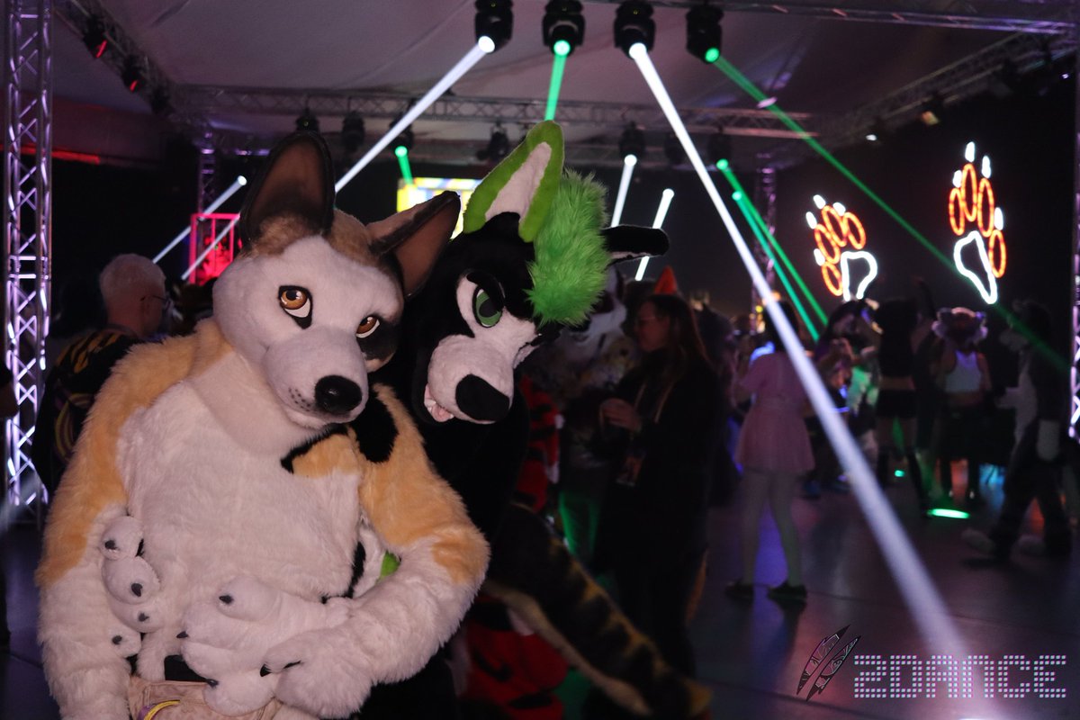 #FursuitFriday
Being a dog with the cutest <a href="/TECKtheDane/">TECKtheDane</a> 💛 <a href="/2Dance_NRW/">2DANCE</a> last weekend