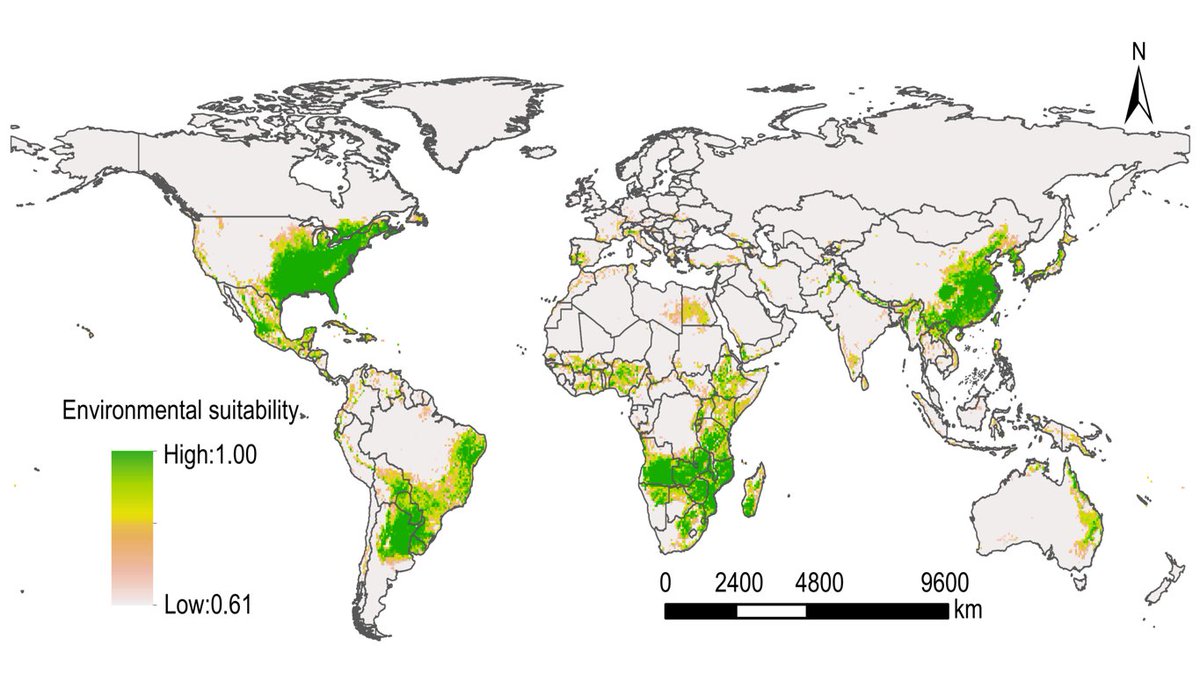 RemoteSens_MDPI's tweet photo. 🐛🐛 Predicting the #Global Potential Suitable Distribution of Fall #Armyworm and Its Host #Plants Based on #MachineLearning Models
✍️ Yanru Huang et al.
🔗 https://t.co/X0GQw89i0r https://t.co/tzZ0Lx5GfU