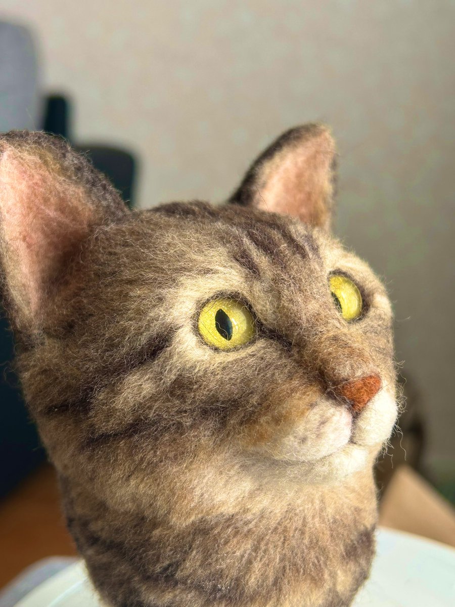 hapicro_feltcat's tweet photo. キジトラちゃんのお顔ができました
久し��りのUPになりました…
もう少しまめに投稿したい🫘

いよいよ全身の練習を始めます！一番はじめは、昨年8月に腎不全で旅立った黒猫のクロちゃんを…誰かのために作るなら、まずは自分が向き合わないとね https://t.co/0cqmNP6lAp