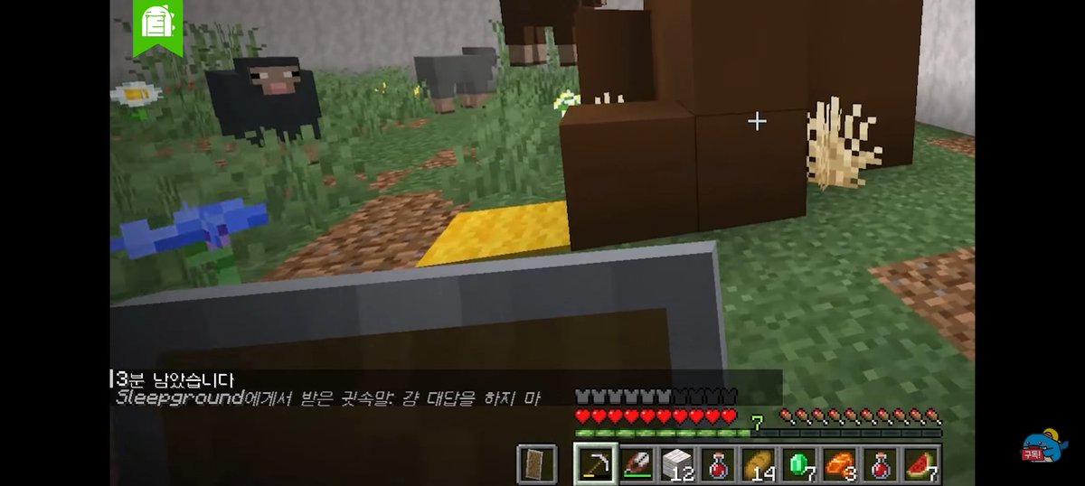 그리고 자매품 주작조