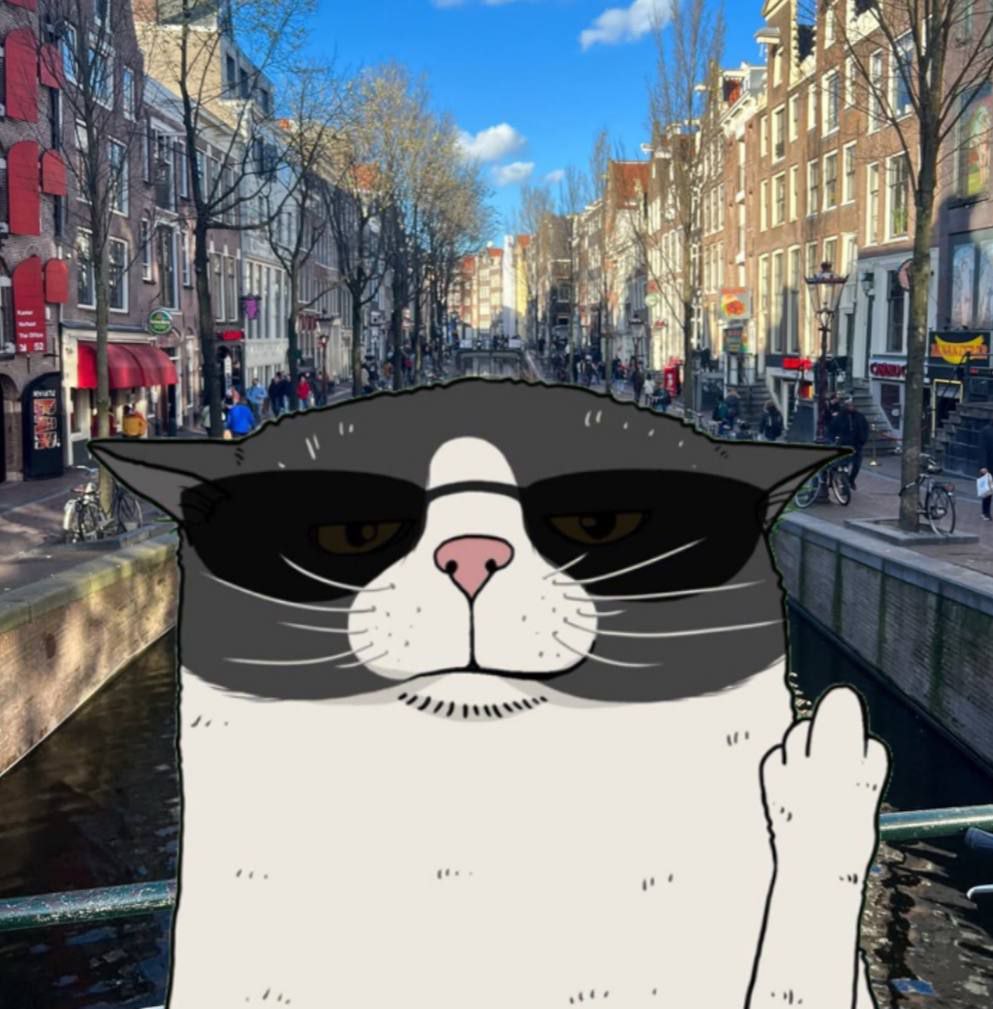 ImafidonOg36996's tweet photo. @jeremybtc @Regrets10x Just imagining the view from the top with #CATOLYAI's moonshot! 🚀 The landscape of crypto wealth. Getting ready to take in the breathtaking views from the top! 🌆 
https://t.co/BkE61w3Abr

https://t.co/6qt0J5XsUj https://t.co/JRpsSWG24G