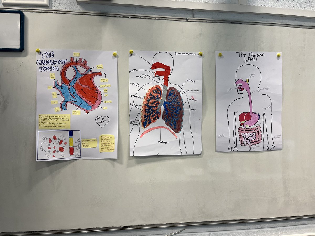 Conor_Mc_Gowan_'s tweet image. Finishing up BW LO 4 with first years. Using a gallery wall of their own work to reflect on their learning over the past few weeks. #JCScience #STEAMeducation @CTCSTEAM