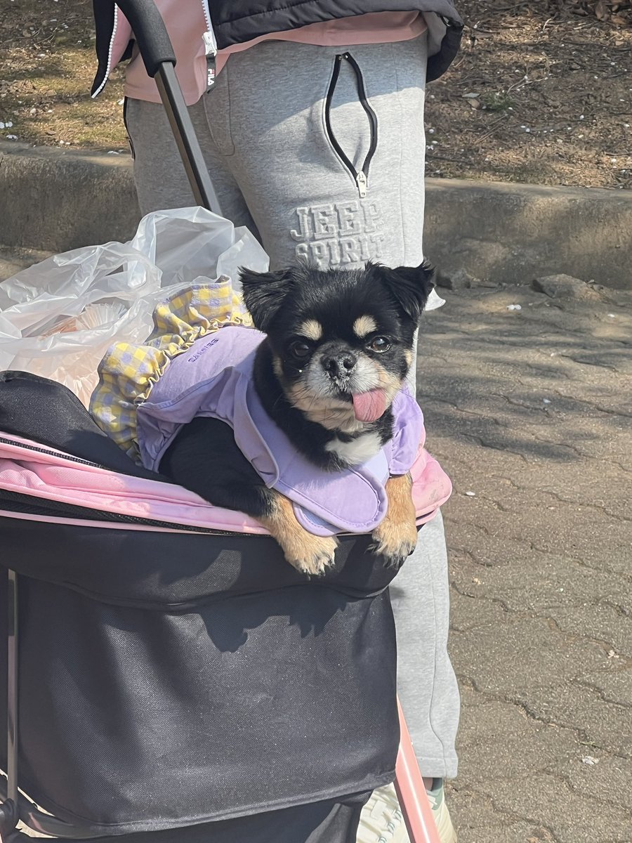 봄이다 봄 ♡´･ᴗ･`♡