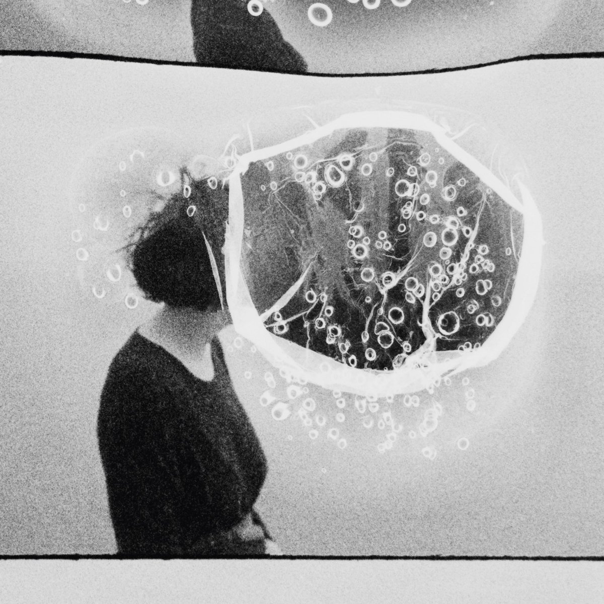 norabelle tweet media