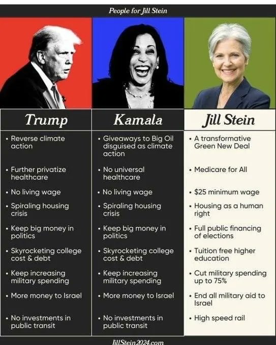 benigma2017's tweet photo. We could have had Jill Stein. https://t.co/2wWS15jYpq