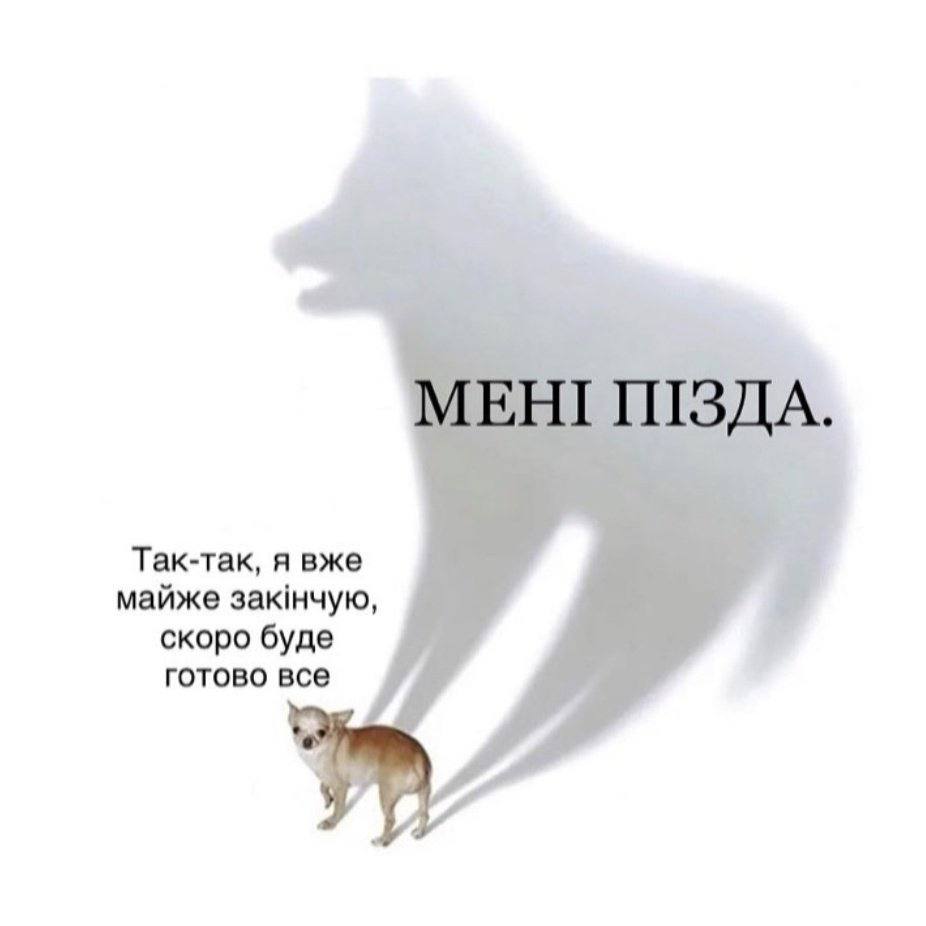 whatafactukr's tweet photo. https://t.co/BUGx6QUXVL