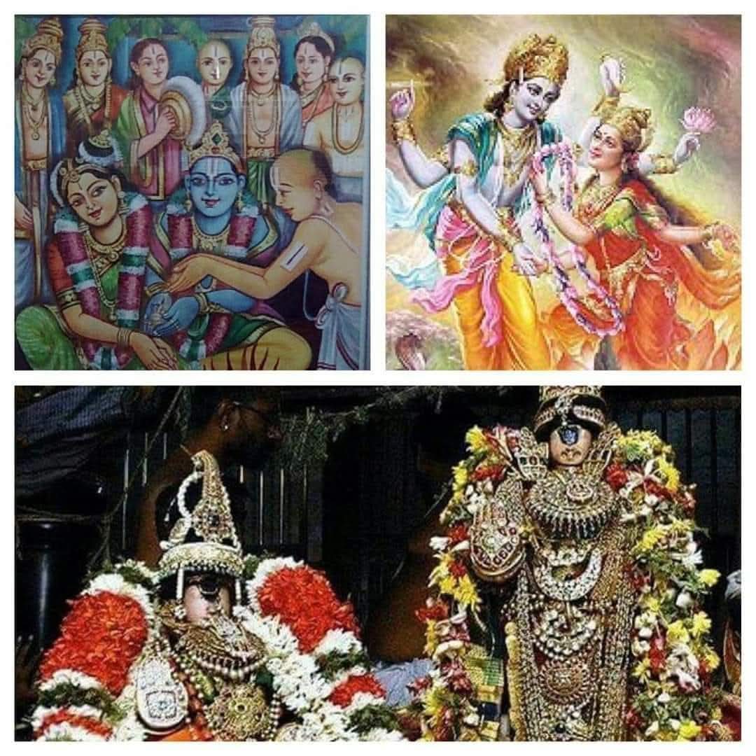 Maha_Periyavaa's tweet photo. 🌺 பங்குனி உத்திரம் சிறப்பு பகிர்வு

பெருமை மிகு பங்குனி  உத்திரம்

  ஸ்ரீமகாலட்சுமியின் அவதார நாளான பங்குனி உத்திரத்தின்போது, வைணவ ஆலயங்களில் மணக் கோலத்தில் தாயாரும் - திருமாலும் காட்சி தருவர். இந்த நாளில் காஞ்சி வரதராஜர் கோயில்- பெருந்தேவி தாயார் சந்நிதியில், ஸ்ரீதேவி-பூதேவி, மலையாள நாச்சியார், ஆண்டாள் மற்றும் பெருந் தேவி தாயார் சகிதம் காட்சி தருகிறார் வரதராஜ பெருமாள்.

       ஸ்ரீரங்கத்தில் தாயாருடன் ஸ்ரீரங்கநாதர் சேர்த்தி காணும் மிக முக்கிய சேர்த்தித் திருவிழா பங்குனிஉத்திரத்தன்று நடைபெறுகிறது.

 பங்குனி உத்திரத்தன்று காவிரியின் வடகரையில் உள்ள திருவரங்கத்தில், அரங்கநாதப் பெருமாளும் ஸ்ரீரங்கநாச்சியாரும் இணைந்து அமர்ந்து திருக்காட்சி தருவர். பங்குனி உத்திரத்தன்று இரவு முழுவதும் இணைந்து காட்சி தரும் திவ்யதம்பதியரை ‘சேர்த்திப் பெருமாள்’ என்று போற்றி, அடியவர் வழிபாடு செய்வர். வைஷ்ணவ சம்ப்ரதாயத்தை நிலைநாட்டிய இளையபெருமாளாகிய இராமானுஜமுனி ஒரு முறை பங்குனி உத்திர மண்டபத்தில் இப்படி பெரிய பிராட்டியும் பெரிய பெருமாளும் சேர்ந்து காட்சி தரும் போது தான் கத்ய த்ரயம் (சரணாகதி கத்யம், வைகுண்ட கத்யம், ஸ்ரீரங்க கத்யம்) என்னும் மூன்று வடமொழி வசனகவிதைகளைப் பாடிச் சமர்ப்பித்தார். 

 சரணாகதி கத்யத்தைச் சமர்ப்பித்த போது அரங்கன் அவருடைய சரணாகதியை ஏற்றுக் கொண்டு திருவாய் மலர்ந்தருளினான் என்றும் தாயார் அவரை உபய வீபூதிகளுக்கும் (கீழுலகம், மேலுலகம்) உடையவராய் நியமித்தார் என்றும் ஐதீகம். அன்றிலிருந்து இராமானுஜர் 'உடையவர்' என்ற  திருநாமத்தாலும்  அழைக்கப் படுகிறார். 
எம்பிரானை எந்தை தந்தை தந்தைக்கும் தம்பிரானைத் தண் தாமரைக் கண்ணனை கொம்பராவு நுண்ணேரிடை மார்வனை எம்பிரானைத் தொழாய் மட நெஞ்சமே! 
உடையவர் ஸ்ரீராமானுஜர், பெருமாளும், தாயாரும் சேர்த்தியாகச் சேவை சாதித்த காலத்தில்தான் ‘கதியத்ரையம்’ என்ற நூலை அருளிச் செய்தார் .
 
கோதை பிறந்த ஊராம் ஸ்ரீவில்லிபுத்தூரில் பங்குனிப் பெருவிழாவின் உச்சகட்டமாக அமைவது பங்குனி உத்திரத் திருநாளில் சுவாமி ரெங்க மன்னார் ஆண்டாளின் திருக்கரங்களைப் பற்றும் திருக்கல்யாண மகோற்சவம்.
 அலைமகள் என்ற திருநாமத்தோடு கையில் ஒரு மலர்மாலையை ஏந்திக் கொண்டு அன்னை பாற்கடலில் இருந்து தோன்றிய பெருமை மிக்க திருநாள் பங்குனி உத்திரத் திருநாள்.

 அதனை நேரே சென்று தன் கணவனாகிய திருமாலின் கழுத்தினில் இட்டாள். அதனால் பங்குனி உத்திரத் திருநாள் அன்னை மகாலக்ஷ்மியின் பிறந்த நாள் மட்டுமன்றி திருமண நாளாகவும் கொண்டாடப் படுகிறது.

 நாமக்கல் இலட்சுமி நரசிம்மப் பெருமாளும் நாமகிரித் தாயாரும்  தேரில் பவனி வரும் நாளும் இந்நாளே.

          இப்படி எண்ணற்ற சிறப்புகளை உடைய பங்குனி உத்திரம் திருநாளை கொண்டாடி நலம் பெறுவோமாக!