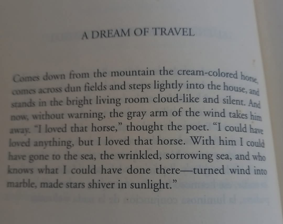 Evasinclair11_'s tweet photo. #literarybirthday
#MarkStrand
"A DREAM OF TRAVEL"
by Mark Strand
(Almost Invisible)
🎨 Maya Vericad Gavilá,
"A Dream of Travel"
(2025) https://t.co/hIRqRqErPe