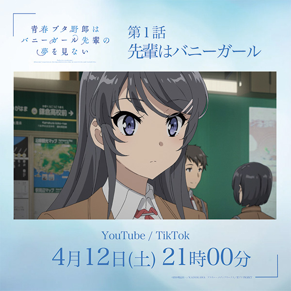 【B2】 青春ブタ野郎 バニーガール先輩 非売品 番宣 放送告知 ポスター Yahoo!オークション - 青春ブタ野郎はバニーガール先輩の夢を見