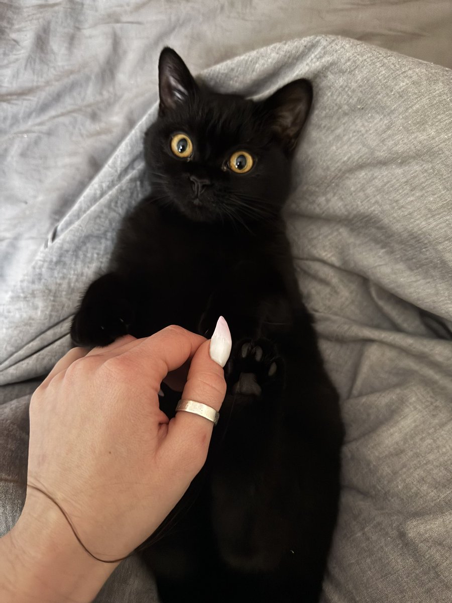 AnnaX (@anna75658) on Twitter photo 