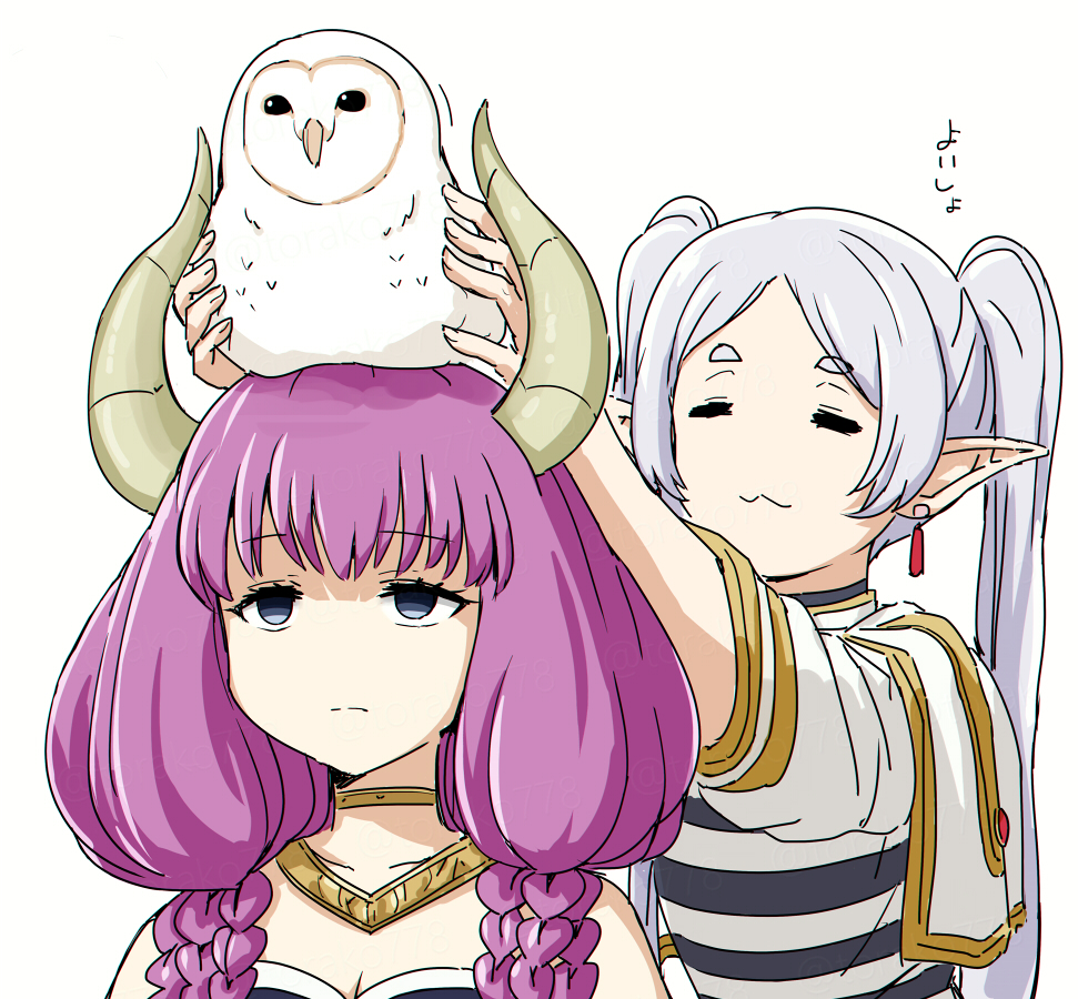 torako778's tweet image. 戴梟の儀